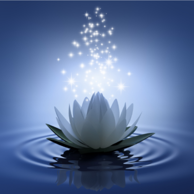 Neuro-Somatic Energy Coaching