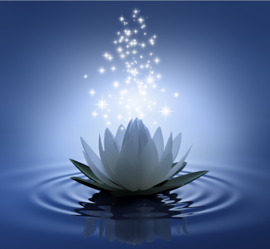 Neuro-Somatic Energy Coaching