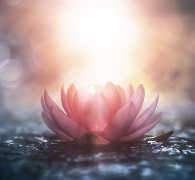 Neuro-Somatic Hormonal Energy Coaching
